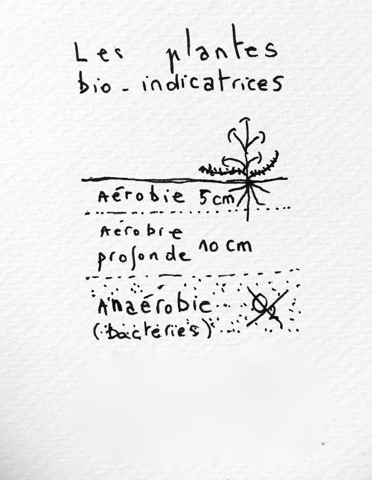 28449568_10156086259304462_2072091624_n