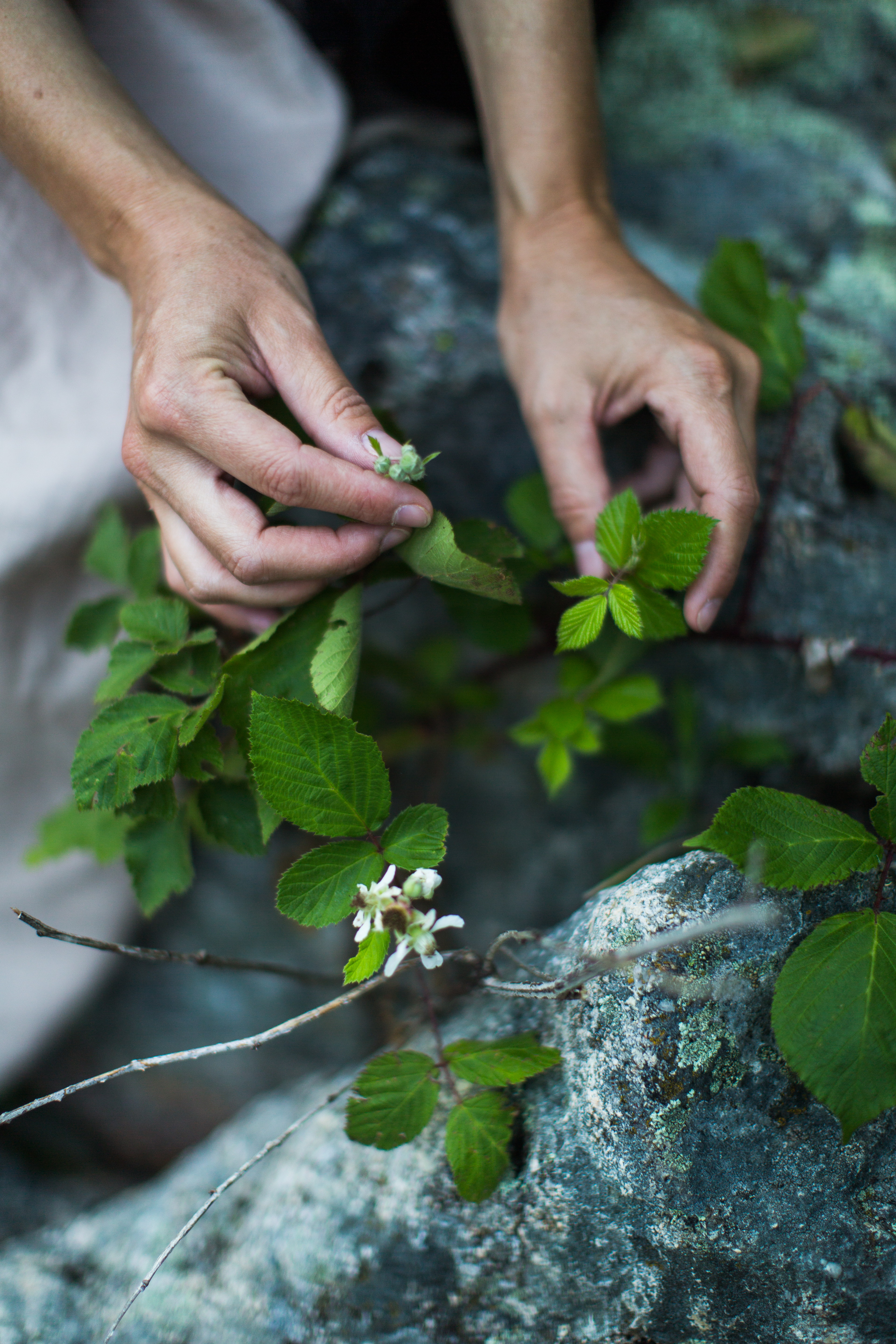 Photo Hélène Gadoury